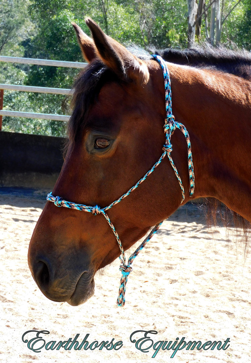 Training Halters with extra nose knots Earthhorse equipment