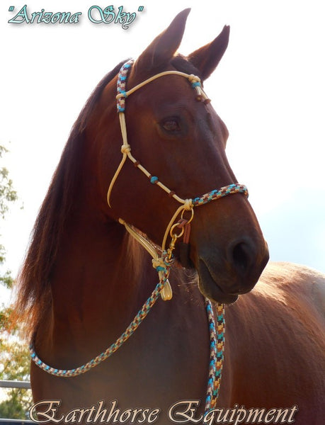 Sliding chin riding halter and reins set, "Arizona Sky" with western brow and cheek accents