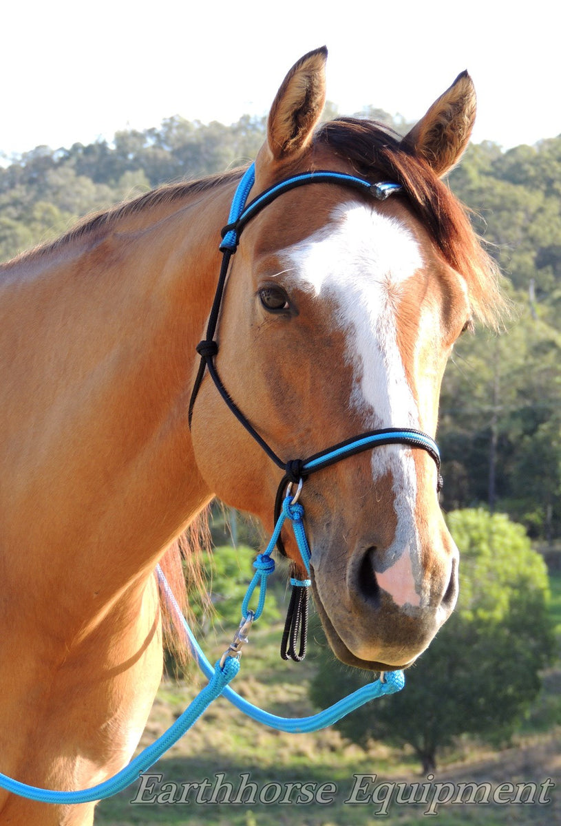 Adjustable sidepull style bitless riding halters – Earthhorse equipment