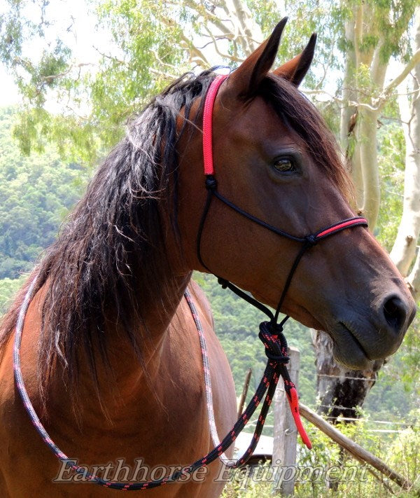 Inset noseband halters – Earthhorse equipment