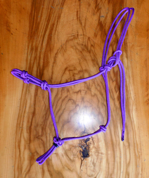 Pre made-Clearance Four nose knot halter dark purple cord.