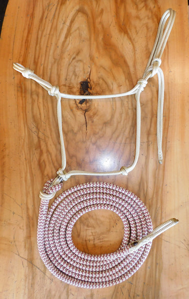 Pre made- Training halter and 12ft lead set beige/light brown zig zag