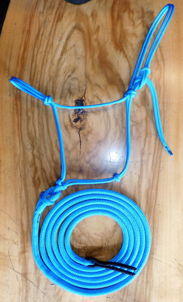 Pre made- Training halter and 12ft lead set Cyan blue
