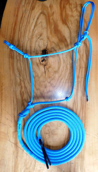 Pre made- Training halter and 12ft lead set Cyan blue XL FULL