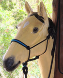 Marine rope Heavy duty 8mm halter with noseband inset, cyan