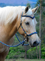 PRE ORDER! Sliding chin riding halter/reins set with V brow, Black "Northern Lights" padding/reins, cheek accents