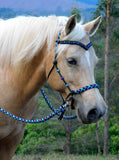 PRE ORDER! Sliding chin riding halter/reins set with V brow, Black "Northern Lights" padding/reins, cheek accents