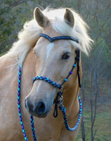 PRE ORDER! Sliding chin riding halter/reins set with V brow, Black "Northern Lights" padding/reins, cheek accents