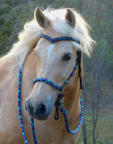 PRE ORDER! Sliding chin riding halter/reins set with V brow, Black "Northern Lights" padding/reins, cheek accents
