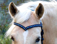 PRE ORDER! Sliding chin riding halter/reins set with V brow, Black "Northern Lights" padding/reins, cheek accents