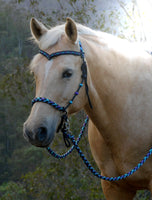 PRE ORDER! Sliding chin riding halter/reins set with V brow, Black "Northern Lights" padding/reins, cheek accents