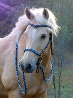 PRE ORDER! Sliding chin riding halter/reins set with V brow, Black "Northern Lights" padding/reins, cheek accents