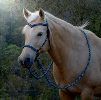 PRE ORDER! Sliding chin riding halter/reins set with V brow, Black "Northern Lights" padding/reins, cheek accents