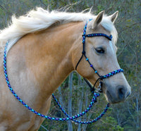 PRE ORDER! Sliding chin riding halter/reins set with V brow, Black "Northern Lights" padding/reins, cheek accents