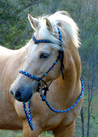 PRE ORDER! Sliding chin riding halter/reins set with V brow, Black "Northern Lights" padding/reins, cheek accents