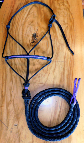 Pre made- Inset halter and loop lead set Black/purple Lg cob