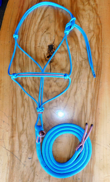 Pre made-Toggle on halter and lead set, Cyan/Light brown, Lg cob