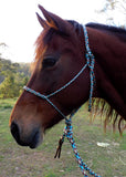 Spliced Knotless halter, halter only.