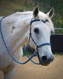 PRE ORDER! Sliding chin riding halter/reins set with V brow, Black "Northern Lights" padding/reins, cheek accents