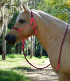 Pre made-Padded Halter and lead set pink "Desert Rose" Large Pony