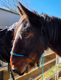 SHIRE sized heavy duty 8mm inset halter, heaps of inset colours