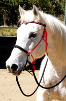 Pre made- Sliding chin riding halter/reins set, Red/black Large cob