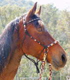 Sliding chin riding halter and reins set in black with "Prairie Dusk" padding/inset/reins and turks head cheek accents