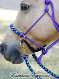 Pre made-Sliding chin riding halter/reins set Purple with "Northern Lights"