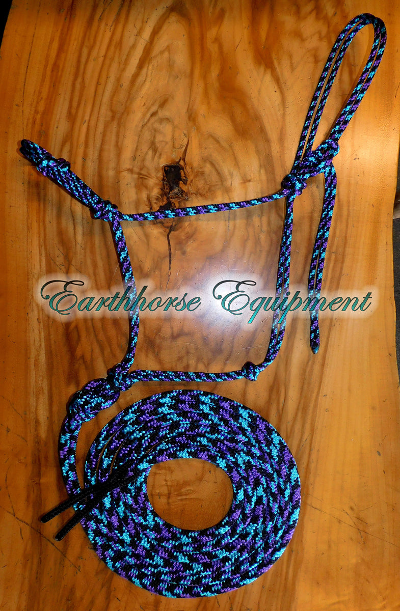 Set Licol Et Longe Rembourrés Northern Lights - Earthhorse Equipment