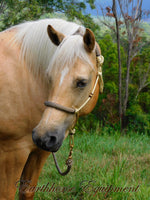 Pre made- Padded halter and lead set Beige/dark brown/beige zig zag COB