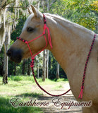Padded halter and 2 mt lead set hot pink with "Desert Rose"padding/lead