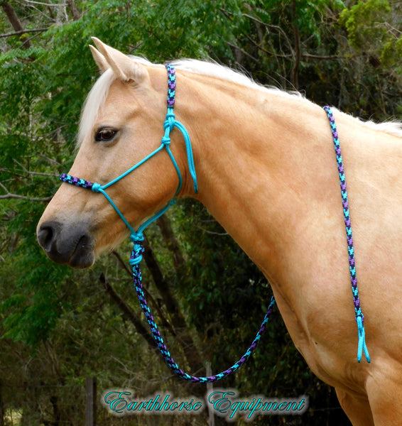 Pre made-Padded halter and lead set, turquoise "Northern Lights" large pony