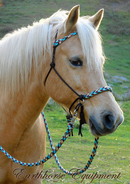 Pre made-Base model sliding chin riding halter and reins set large pony