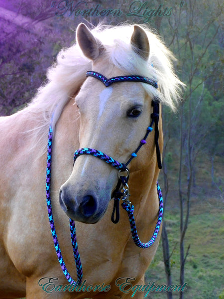 PRE ORDER! Sliding chin riding halter/reins set with V brow, Black "Northern Lights" padding/reins, cheek accents