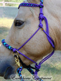 Pre made-Sliding chin riding halter/reins set Purple with "Northern Lights"