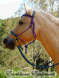 Pre made-Sliding chin riding halter/reins set Purple with "Northern Lights"