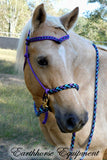 Pre made-Sliding chin riding halter/reins set Purple with "Northern Lights"