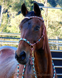 Sliding chin riding halter/reins set with V brow/turks head accents in Light brown with "Apache Dream" padding/reins