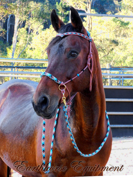 Sliding chin riding halter/reins set with V brow/turks head accents in Light brown with "Apache Dream" padding/reins