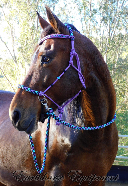 Sliding chin riding halter/reins set with V brow/turks head accents in Purple with "Northern Lights" padding/reins