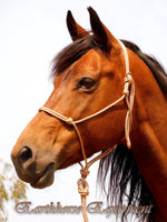 Standard halter and lead set light brown/beige zig zag.
