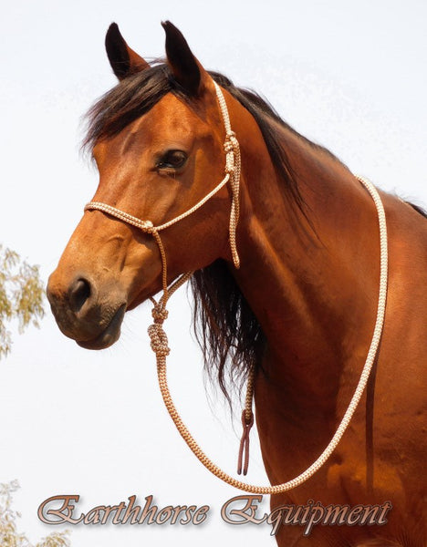 Standard halter and lead set light brown/beige zig zag.