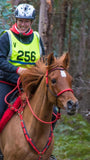Padded riding halter without chinstrap, V brow