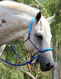 Sliding chin riding halter, basic padded, Purple/cyan padding,riding halter only.