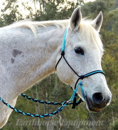 Adjustable sidepull, inset noseband black and Turquoise.