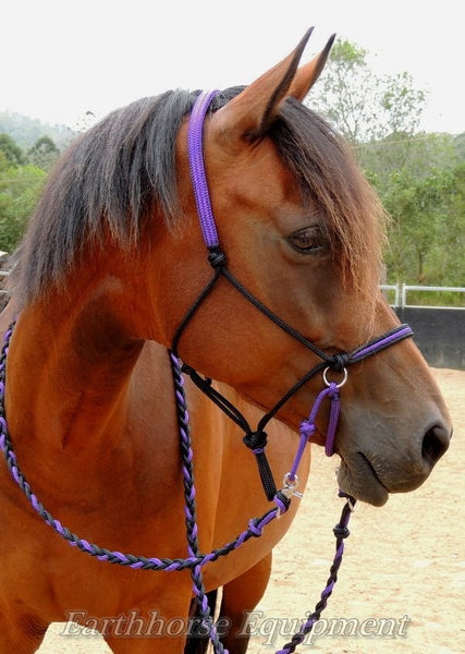 Adjustable sidepull, inset noseband black and purple