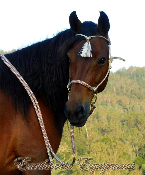 Adjustable sidepull wth tasselled brow and split reins beige/brown zig zag