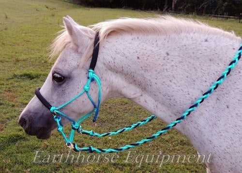 Adjustable sidepull, padded, Turquoise with black padding