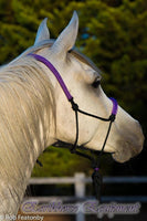 Padded halter and 2.5 mt lead set black/purple