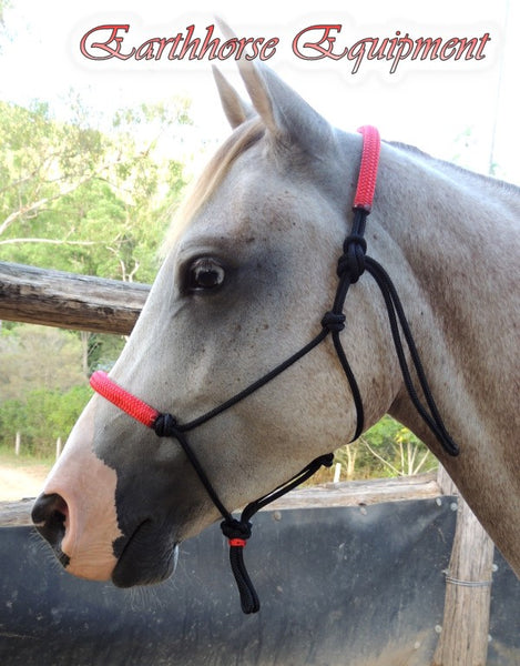 Padded halter, black/red padding